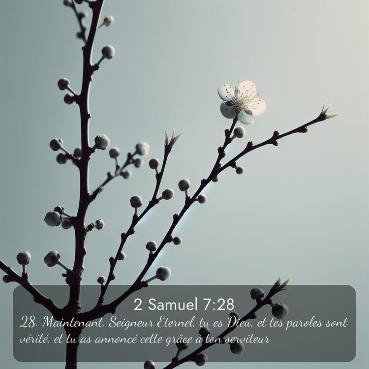 image nature avec verset biblique de la Bible