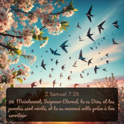 Segond 2 Samuel  ; image nature: image avec le verset biblique :Maintenant, Seigneur Eternel, tu es Dieu, et tes paroles sont vérité, et tu as annoncé cette grâce à ton serviteur. ;  ; 7:28