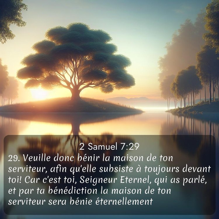 Segond 2 Samuel 7:29