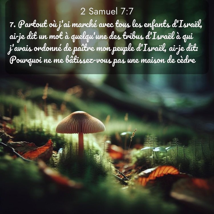 image nature avec verset biblique de la Bible