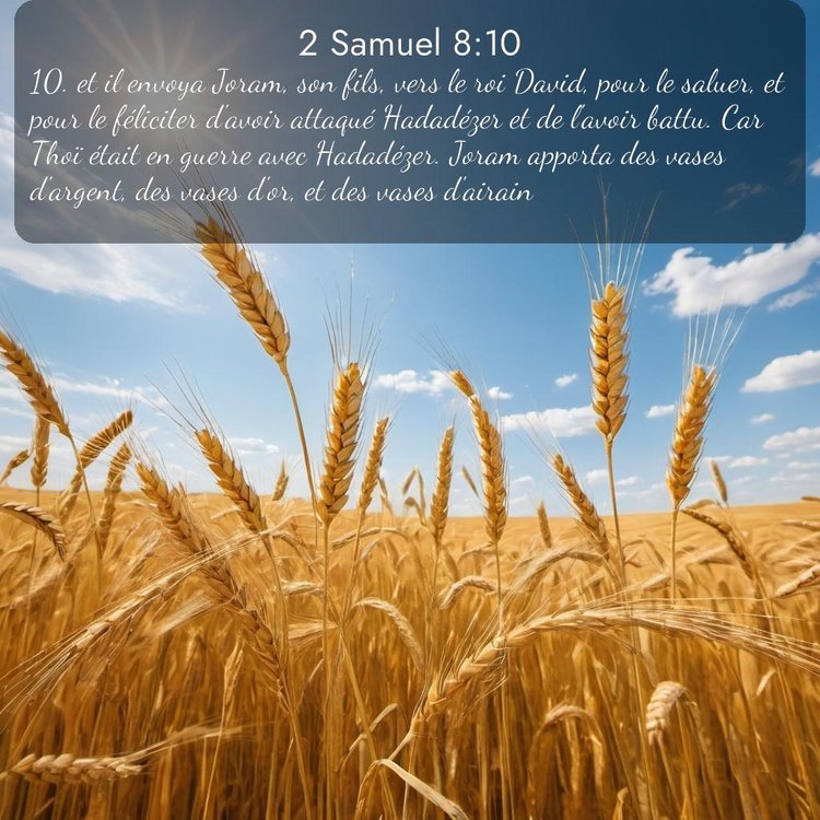 Segond 2 Samuel 8:10