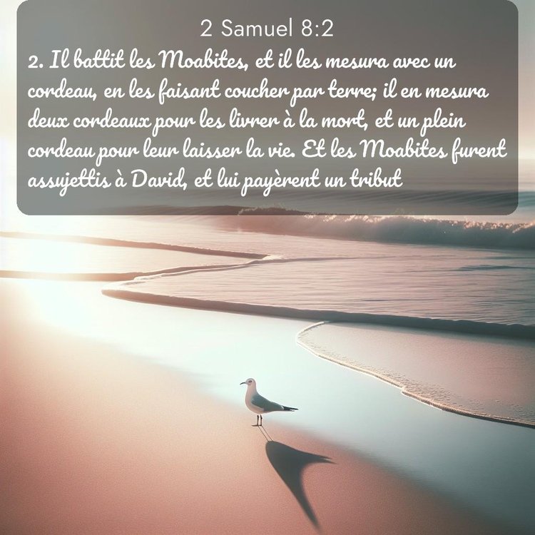 Segond 2 Samuel 8:2