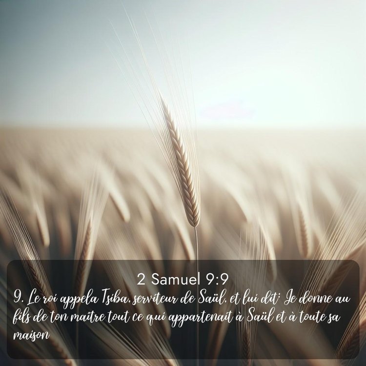 Segond 2 Samuel 9:9