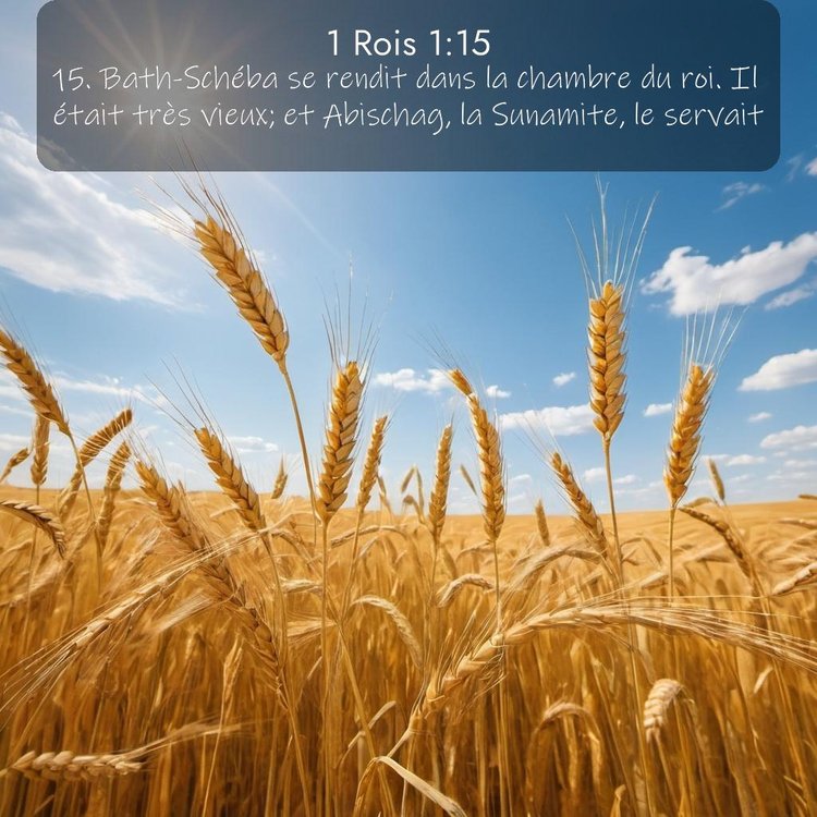 Segond 1 Rois 1:15