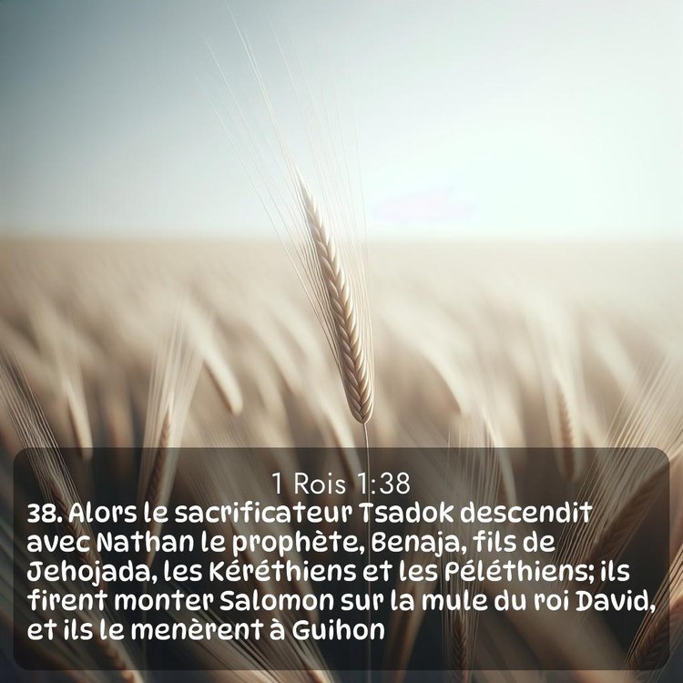 Segond 1 Rois 1:38