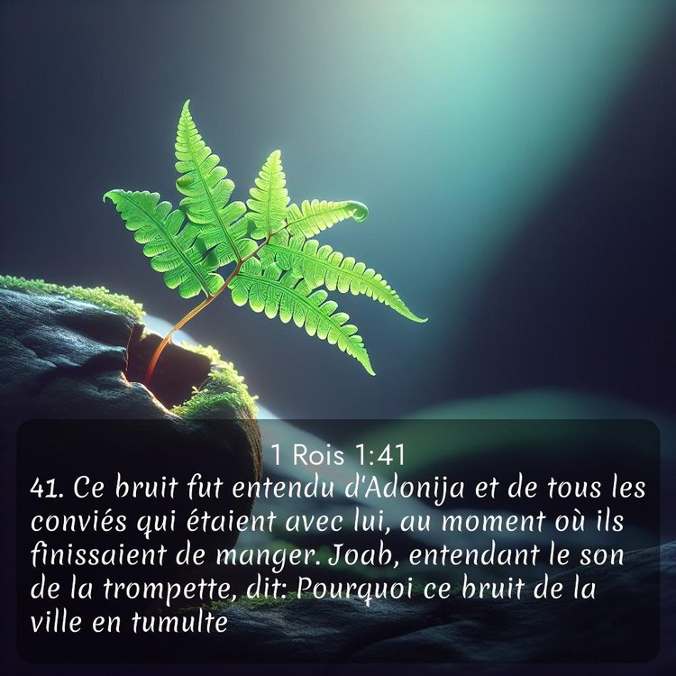 Segond 1 Rois 1:41