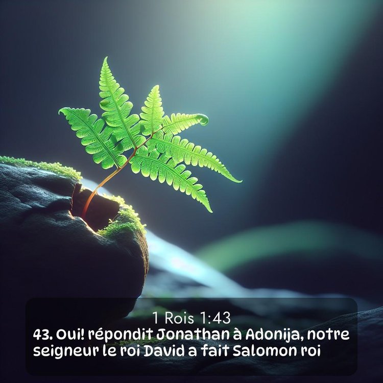 Segond 1 Rois 1:43