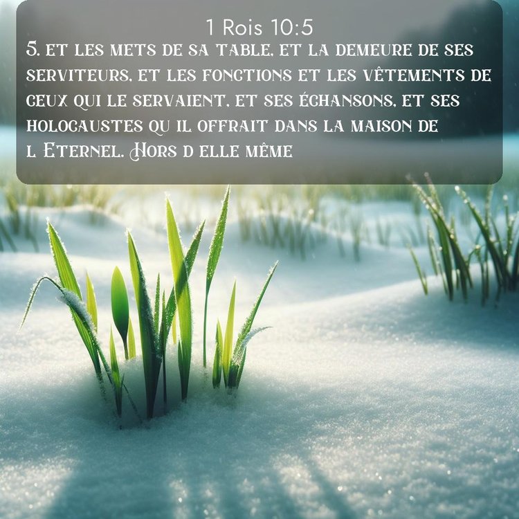 Segond 1 Rois 10:5