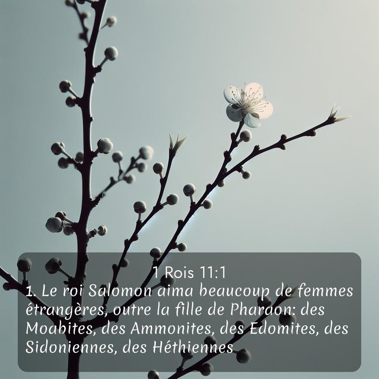 image nature avec verset biblique de la Bible
