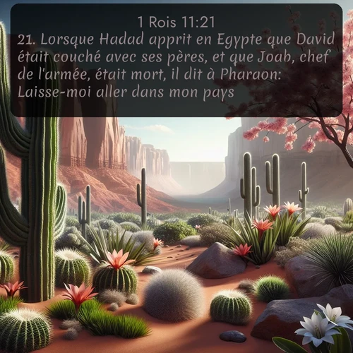 Segond 1 Rois  ; image nature: image avec le verset biblique :Lorsque Hadad apprit en Egypte que David était couché avec ses pères, et que Joab, chef de l&#039;armée, était mort, il dit à Pharaon: Laisse-moi aller dans mon pays. ;  ; 11:21