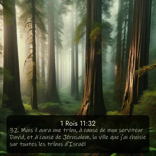 Segond 1 Rois  ; image nature: image avec le verset biblique :Mais il aura une tribu, à cause de mon serviteur David, et à cause de Jérusalem, la ville que j&#039;ai choisie sur toutes les tribus d&#039;Israël. ;  ; 11:32
