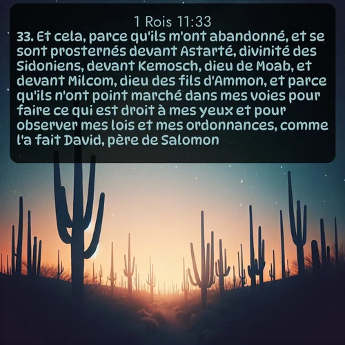 Segond 1 Rois  ; image nature: image avec le verset biblique :Et cela, parce qu&#039;ils m&#039;ont abandonné, et se sont prosternés devant Astarté, divinité des Sidoniens, devant Kemosch, dieu de Moab, et devant Milcom, dieu des fils d&#039;Ammon, et parce qu&#039;ils n&#039;ont point marché dans mes voies pour faire ce qui est droit à mes yeux et pour observer mes lois et mes ordonnances, comme l&#039;a fait David, père de Salomon. ;  ; 11:33
