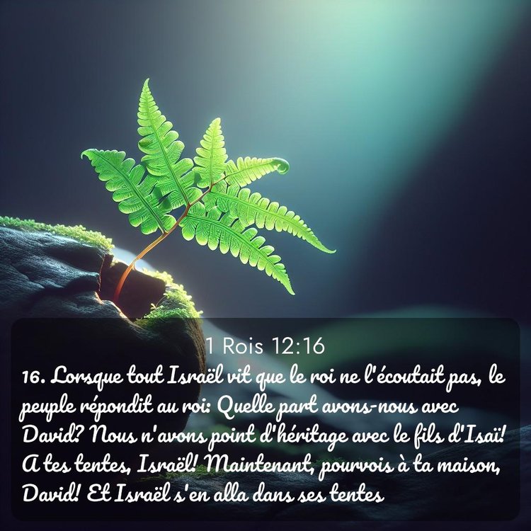 Segond 1 Rois 12:16