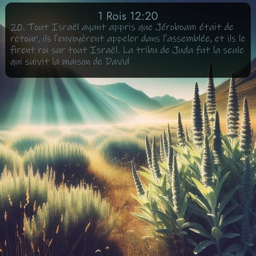 Segond 1 Rois  ; image nature: image avec le verset biblique :Tout Israël ayant appris que Jéroboam était de retour, ils l&#039;envoyèrent appeler dans l&#039;assemblée, et ils le firent roi sur tout Israël. La tribu de Juda fut la seule qui suivit la maison de David. ;  ; 12:20