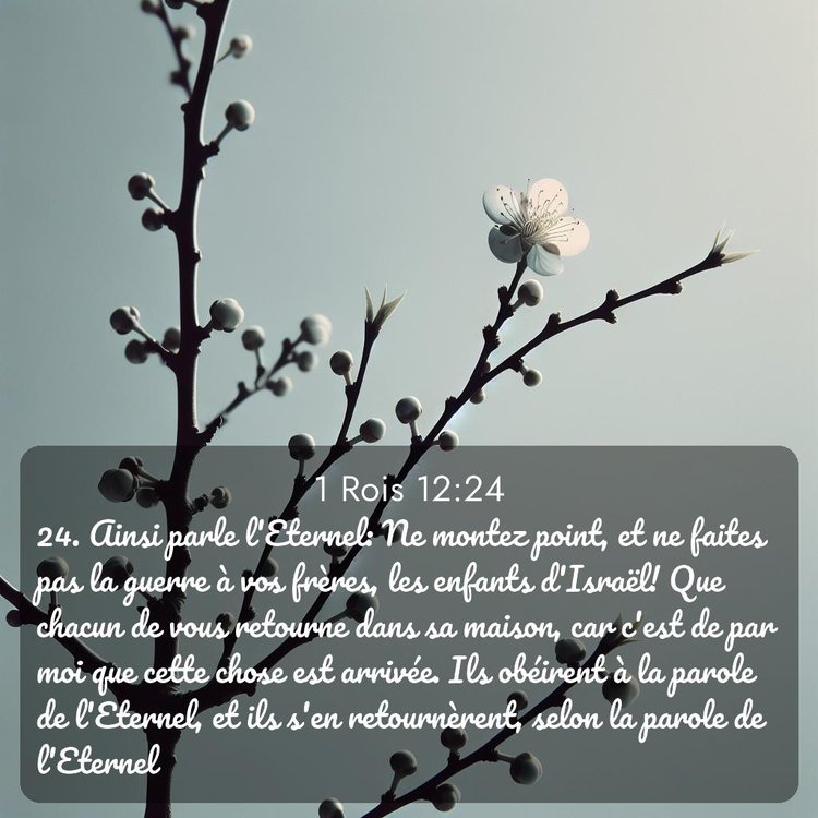 Segond 1 Rois 12:24