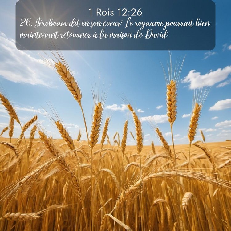 Segond 1 Rois 12:26