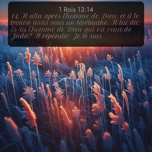 Segond 1 Rois  ; image nature: image avec le verset biblique :Il alla après l&#039;homme de Dieu, et il le trouva assis sous un térébinthe. Il lui dit: Es-tu l&#039;homme de Dieu qui est venu de Juda? Il répondit: Je le suis. ;  ; 13:14