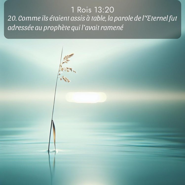 Segond 1 Rois 13:20