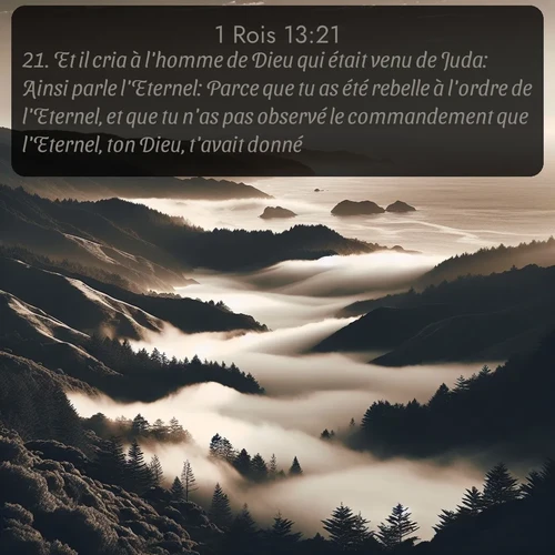 Segond 1 Rois  ; image nature: image avec le verset biblique :Et il cria à l&#039;homme de Dieu qui était venu de Juda: Ainsi parle l&#039;Eternel: Parce que tu as été rebelle à l&#039;ordre de l&#039;Eternel, et que tu n&#039;as pas observé le commandement que l&#039;Eternel, ton Dieu, t&#039;avait donné; ;  ; 13:21