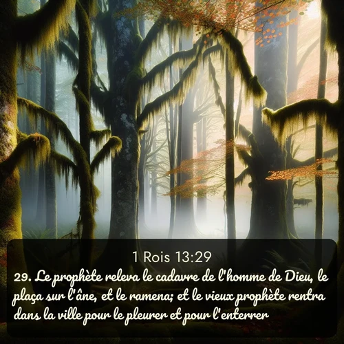 Segond 1 Rois  ; image nature: image avec le verset biblique :Le prophète releva le cadavre de l&#039;homme de Dieu, le plaça sur l&#039;âne, et le ramena; et le vieux prophète rentra dans la ville pour le pleurer et pour l&#039;enterrer. ;  ; 13:29