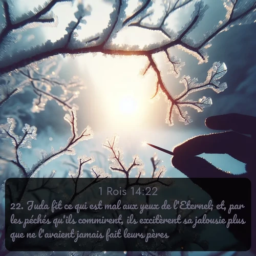 Segond 1 Rois  ; image nature: image avec le verset biblique :Juda fit ce qui est mal aux yeux de l&#039;Eternel; et, par les péchés qu&#039;ils commirent, ils excitèrent sa jalousie plus que ne l&#039;avaient jamais fait leurs pères. ;  ; 14:22
