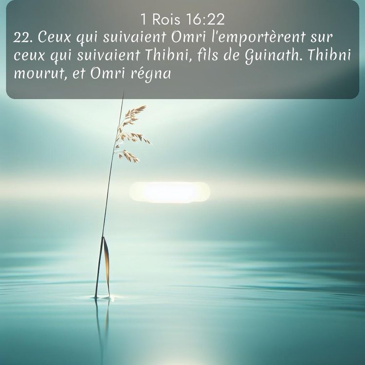 Segond 1 Rois 16:22