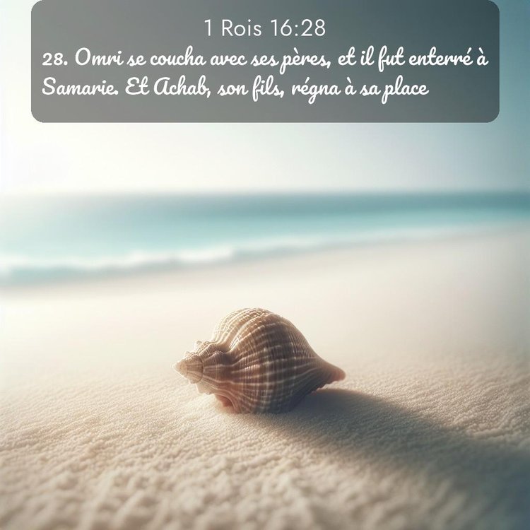 Segond 1 Rois 16:28