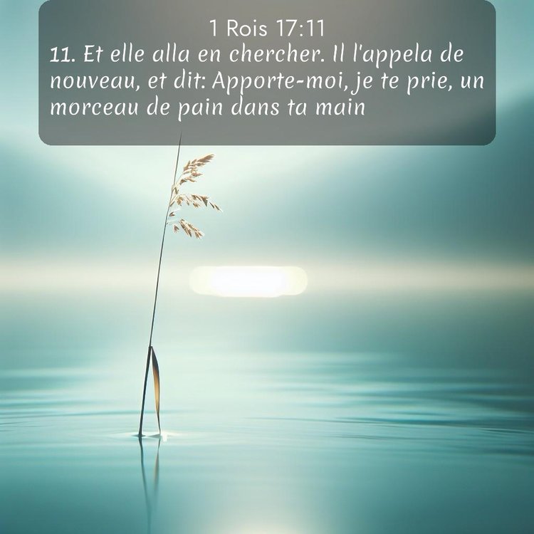 Segond 1 Rois 17:11