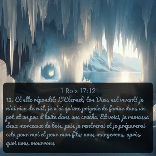 Segond 1 Rois  ; image nature: image avec le verset biblique :Et elle répondit: L&#039;Eternel, ton Dieu, est vivant! je n&#039;ai rien de cuit, je n&#039;ai qu&#039;une poignée de farine dans un pot et un peu d&#039;huile dans une cruche. Et voici, je ramasse deux morceaux de bois, puis je rentrerai et je préparerai cela pour moi et pour mon fils; nous mangerons, après quoi nous mourrons. ;  ; 17:12