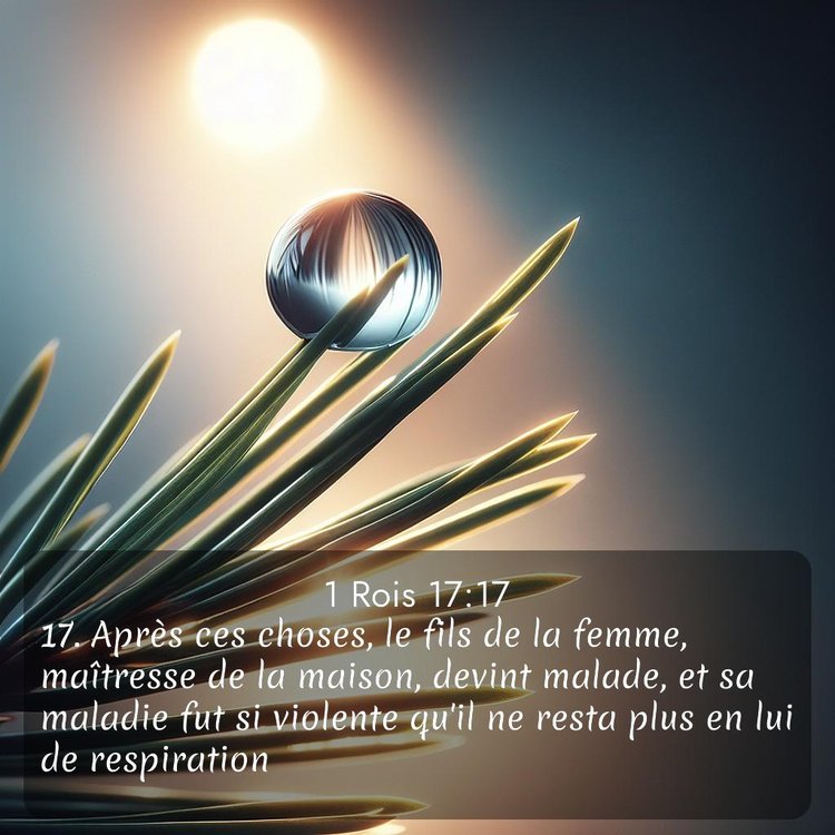 Segond 1 Rois 17:17