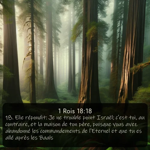 Segond 1 Rois  ; image nature: image avec le verset biblique :Elie répondit: Je ne trouble point Israël; c&#039;est toi, au contraire, et la maison de ton père, puisque vous avez abandonné les commandements de l&#039;Eternel et que tu es allé après les Baals. ;  ; 18:18