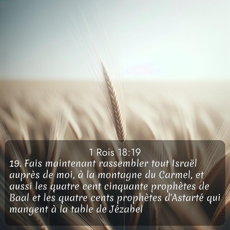 Segond 1 Rois 18:19