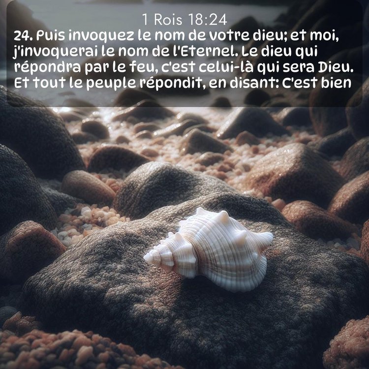 Segond 1 Rois 18:24