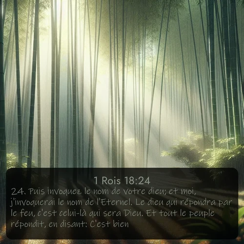 Segond 1 Rois  ; image nature: image avec le verset biblique :Puis invoquez le nom de votre dieu; et moi, j&#039;invoquerai le nom de l&#039;Eternel. Le dieu qui répondra par le feu, c&#039;est celui-là qui sera Dieu. Et tout le peuple répondit, en disant: C&#039;est bien! ;  ; 18:24