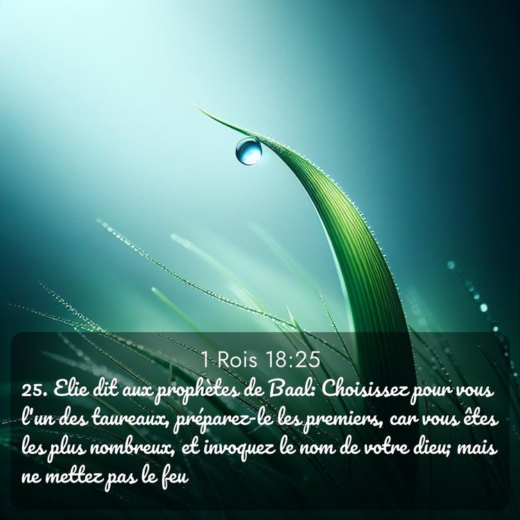 Segond 1 Rois 18:25