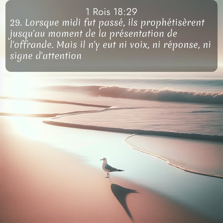 Segond 1 Rois 18:29