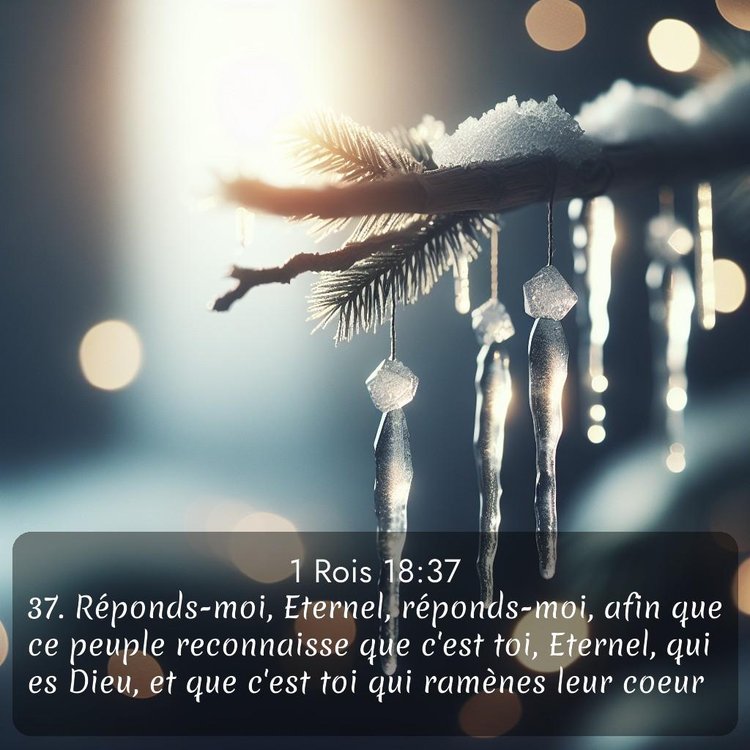 Segond 1 Rois 18:37