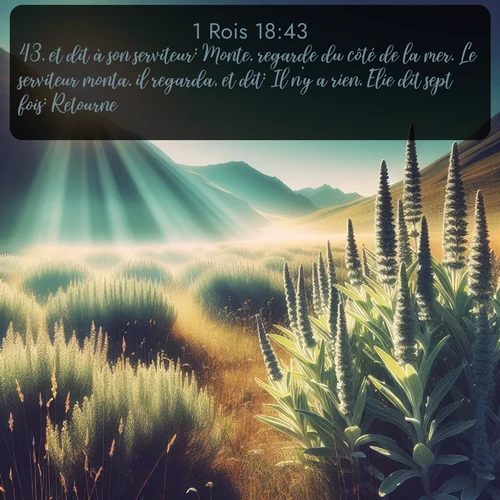 Segond 1 Rois  ; image nature: image avec le verset biblique :et dit à son serviteur: Monte, regarde du côté de la mer. Le serviteur monta, il regarda, et dit: Il n&#039;y a rien. Elie dit sept fois: Retourne. ;  ; 18:43