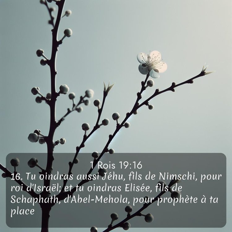 image nature avec verset biblique de la Bible