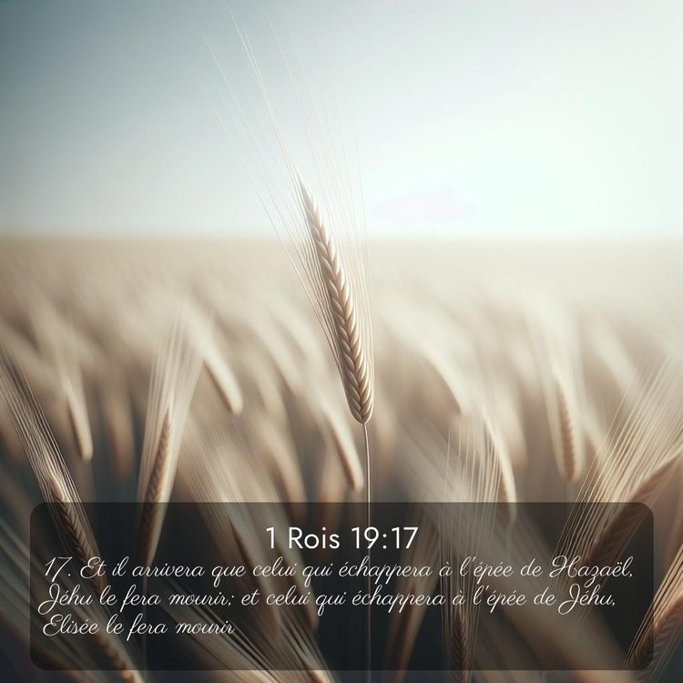 Segond 1 Rois 19:17