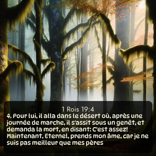 Segond 1 Rois  ; image nature: image avec le verset biblique :Pour lui, il alla dans le désert où, après une journée de marche, il s&#039;assit sous un genêt, et demanda la mort, en disant: C&#039;est assez! Maintenant, Eternel, prends mon âme, car je ne suis pas meilleur que mes pères. ;  ; 19:4