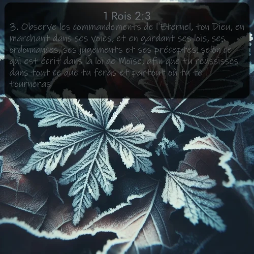 Segond 1 Rois  ; image nature: image avec le verset biblique :Observe les commandements de l&#039;Eternel, ton Dieu, en marchant dans ses voies, et en gardant ses lois, ses ordonnances, ses jugements et ses préceptes, selon ce qui est écrit dans la loi de Moïse, afin que tu réussisses dans tout ce que tu feras et partout où tu te tourneras, ;  ; 2:3