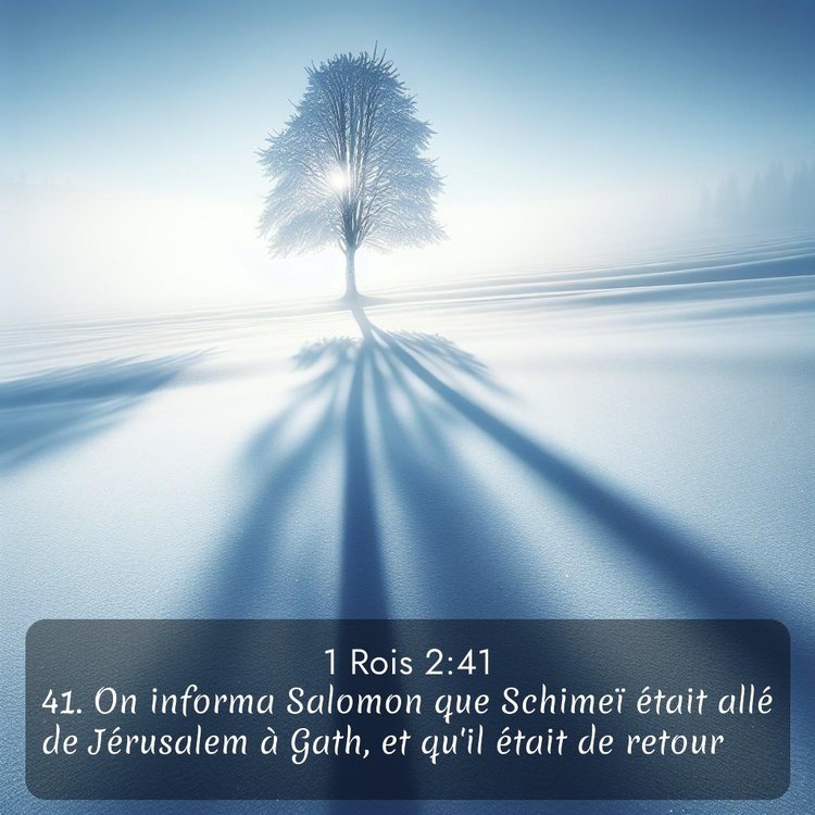 Segond 1 Rois 2:41