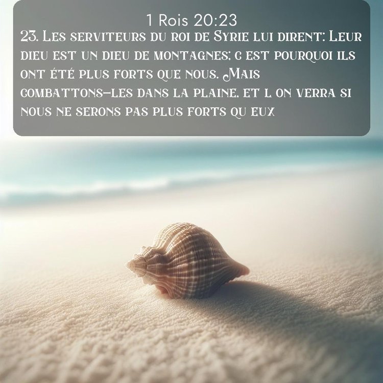 Segond 1 Rois 20:23