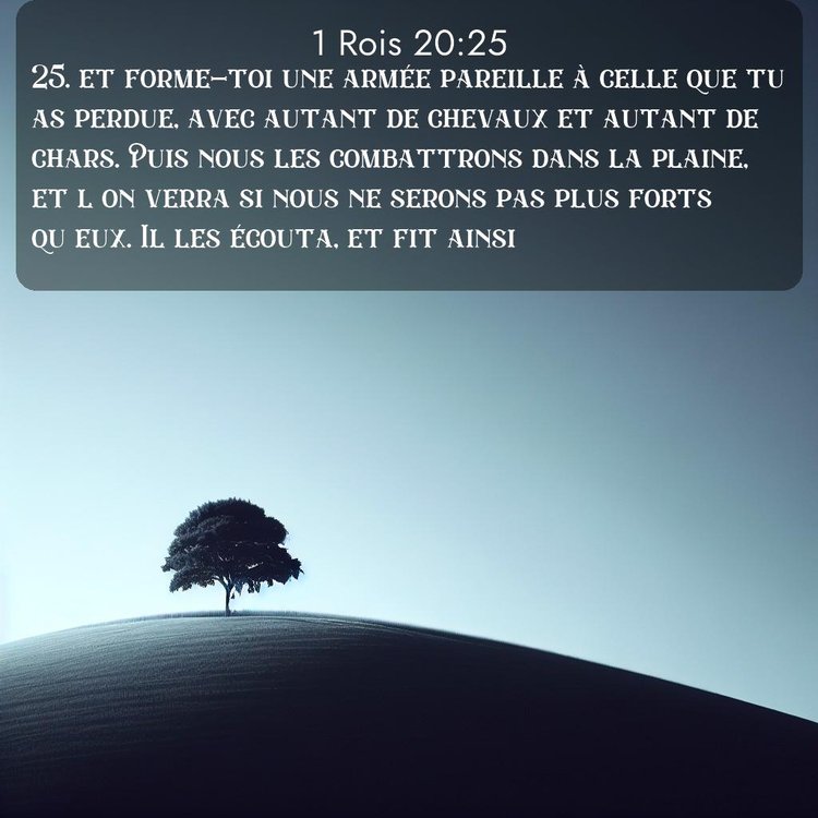 Segond 1 Rois 20:25