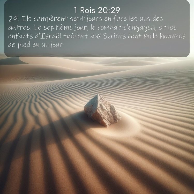 Segond 1 Rois 20:29