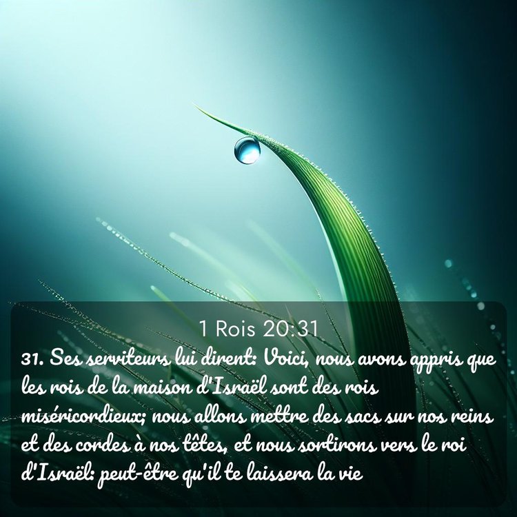 Segond 1 Rois 20:31