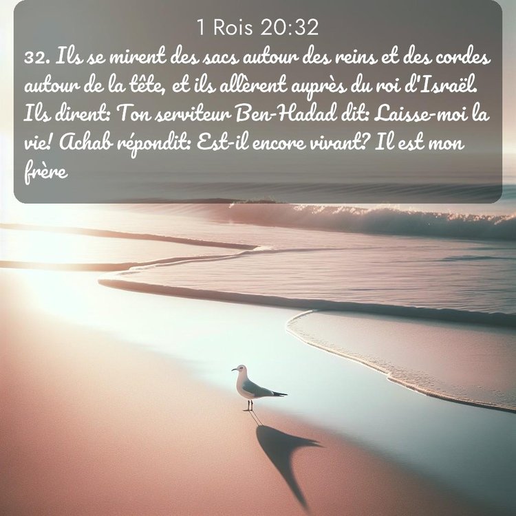 Segond 1 Rois 20:32