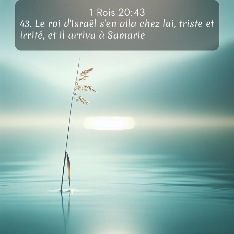 Segond 1 Rois 20:43