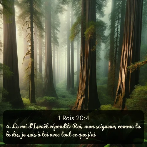 Segond 1 Rois  ; image nature: image avec le verset biblique :Le roi d&#039;Israël répondit: Roi, mon seigneur, comme tu le dis, je suis à toi avec tout ce que j&#039;ai. ;  ; 20:4